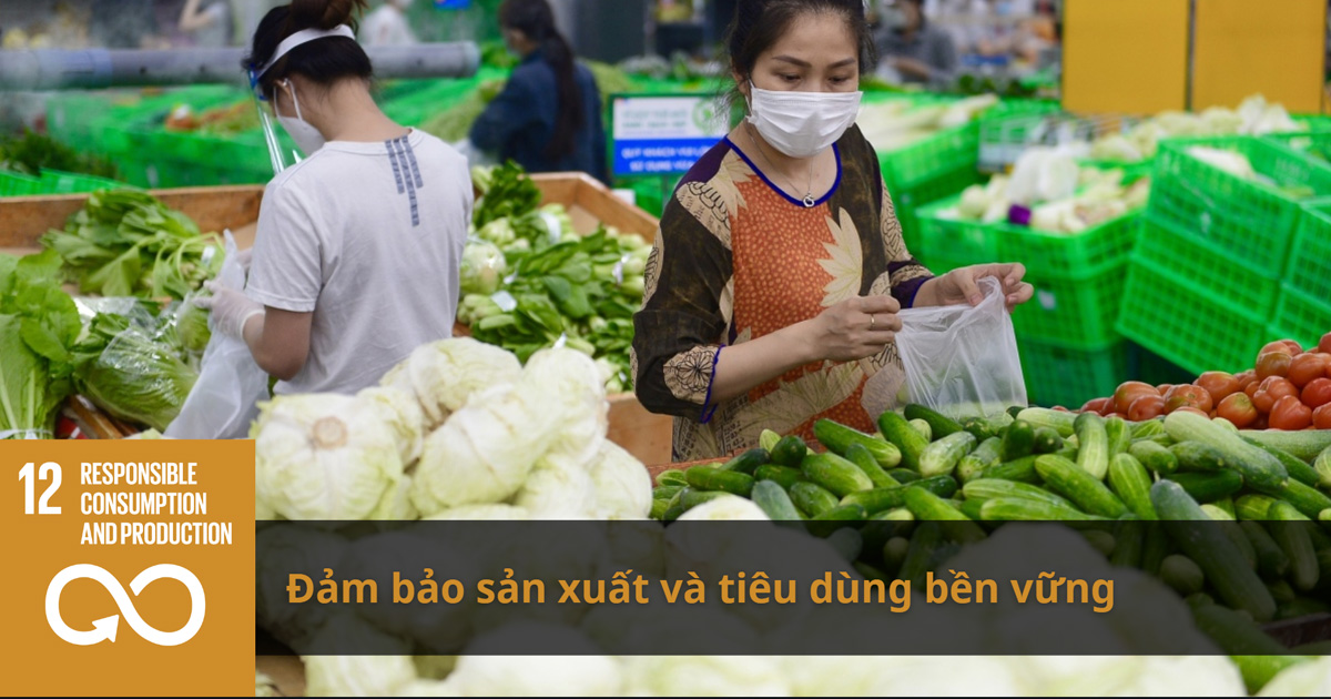 Mục tiêu 12: Tiêu thụ và sản xuất có trách nhiệm - Responsible consumption and production