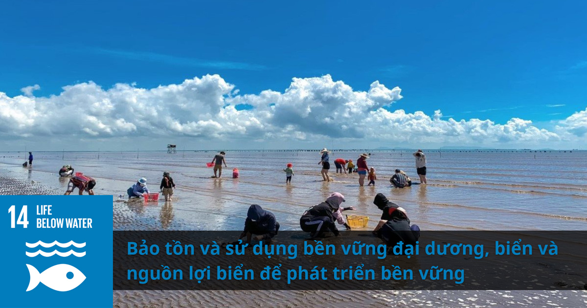 Mục tiêu 14: Tài nguyên và môi trường bền vững - Life below water